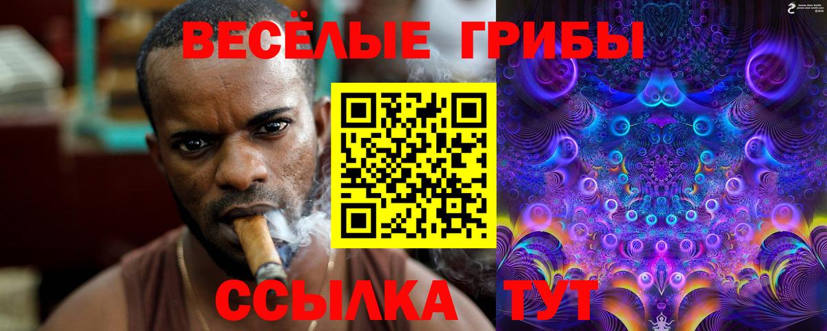 Химки  Псилоцибиновые грибы MAGIC MUSHROOMS  Галлюциногенные грибы Magic Shrooms  Вход с VPN 